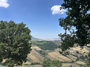 Vista panoramica di una valle collinare circondata da alberi e boschi sotto un cielo azzurro, simbolo dei ritmi naturali e del benessere psicofisico.